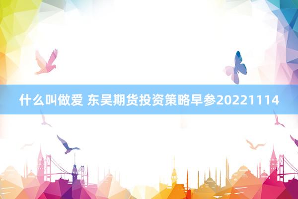 什么叫做爱 东吴期货投资策略早参20221114