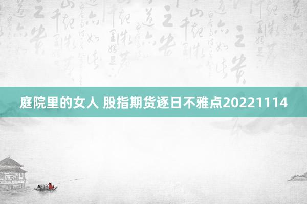 庭院里的女人 股指期货逐日不雅点20221114