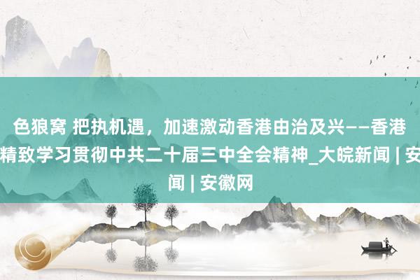 色狼窝 把执机遇，加速激动香港由治及兴——香港各界精致学习贯彻中共二十届三中全会精神_大皖新闻 | 安徽网