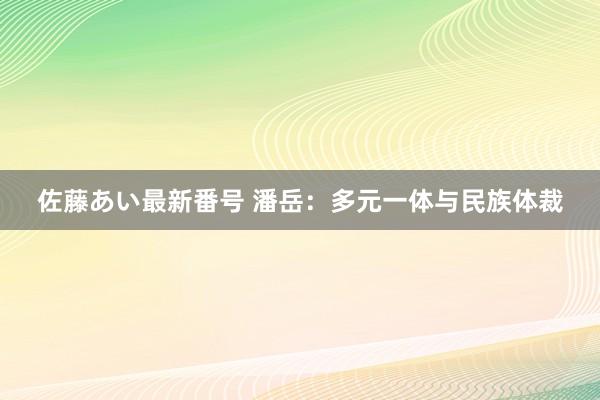 佐藤あい最新番号 潘岳：多元一体与民族体裁