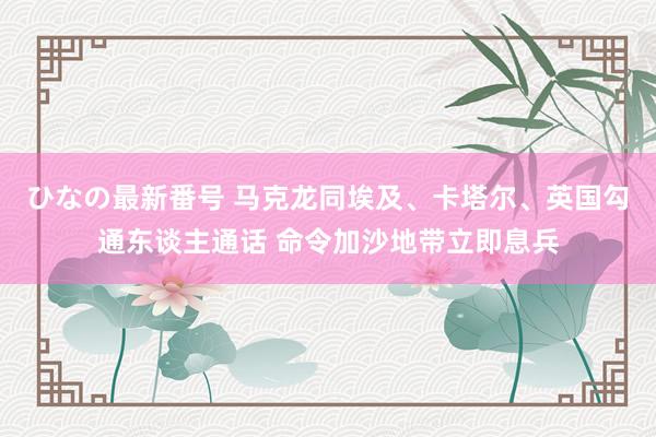 ひなの最新番号 马克龙同埃及、卡塔尔、英国勾通东谈主通话 命令加沙地带立即息兵