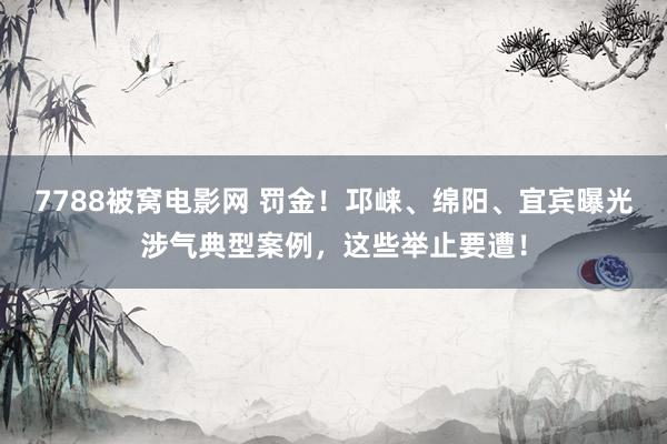 7788被窝电影网 罚金！邛崃、绵阳、宜宾曝光涉气典型案例，这些举止要遭！