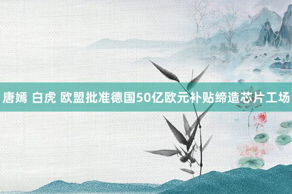 唐嫣 白虎 欧盟批准德国50亿欧元补贴缔造芯片工场