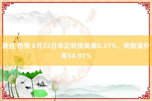 黑丝 色情 8月23日华正转债高潮0.37%，转股溢价率54.97%