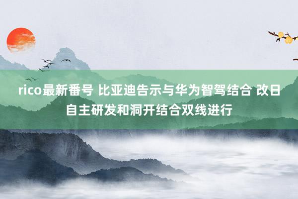 rico最新番号 比亚迪告示与华为智驾结合 改日自主研发和洞开结合双线进行