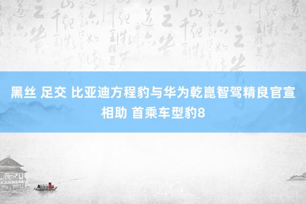 黑丝 足交 比亚迪方程豹与华为乾崑智驾精良官宣相助 首乘车型豹8