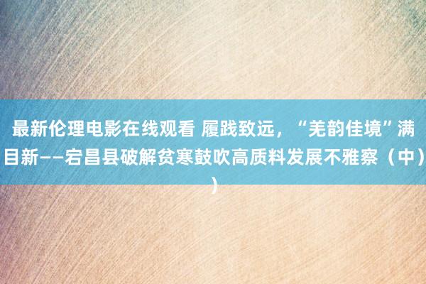 最新伦理电影在线观看 履践致远，“羌韵佳境”满目新——宕昌县破解贫寒鼓吹高质料发展不雅察（中）