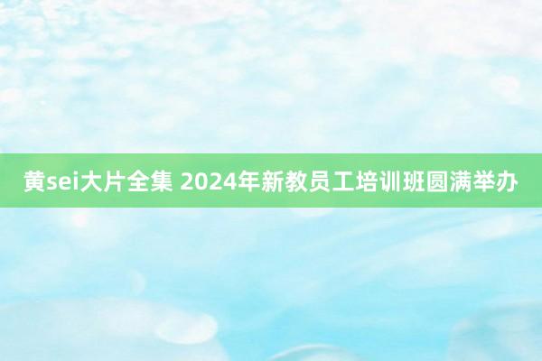 黄sei大片全集 2024年新教员工培训班圆满举办