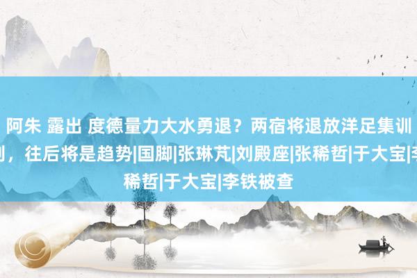 阿朱 露出 度德量力大水勇退？两宿将退放洋足集训或是死别，往后将是趋势|国脚|张琳芃|刘殿座|张稀哲|于大宝|李铁被查