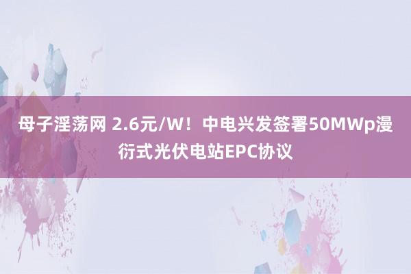 母子淫荡网 2.6元/W！中电兴发签署50MWp漫衍式光伏电站EPC协议