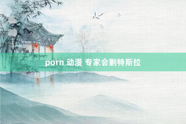 porn 动漫 专家会剿特斯拉